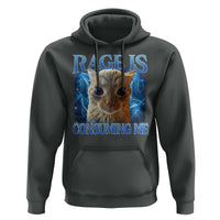 Rage Is Consuming Me Cat Meme Hoodie Funny Weird Humor Cat Face Bootleg - Wonder Print Shop