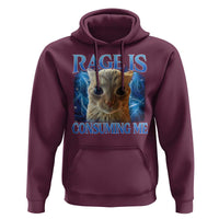Rage Is Consuming Me Cat Meme Hoodie Funny Weird Humor Cat Face Bootleg - Wonder Print Shop