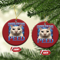 Meme Cat Christmas Ornament Funny Weird Humor Consider Your Pants Peed - Wonder Print Shop