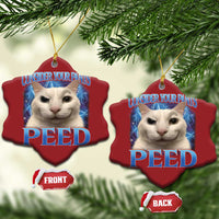 Meme Cat Christmas Ornament Funny Weird Humor Consider Your Pants Peed - Wonder Print Shop
