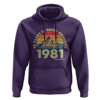 45th Birthday Hoodie Vintage 1981 Limited Edition 45 Year Old Gift