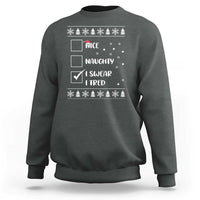 Funny Christmas Xmas Sweatshirt Nice Naughty I Swear I Tried Xmas List - Wonder Print Shop