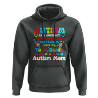 Autism Mom's Journey Hoodie