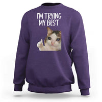 Im Trying My Best Funny Crying Cat Meme Sweatshirt - Wonder Print Shop