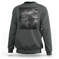 Funny Graphic Capybara Selfie with UFOs Weird Sweatshirt - Wonder Print Shop
