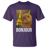 Funny Cat Bonjour T Shirt Paris France Eiffel Tower Orange Cat Meme - Wonder Print Shop
