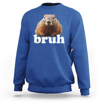 Bruh Groundhog Sweatshirt Funny Woodchuck Youth Teens Kids Slang - Wonder Print Shop