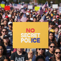 Subtle Abolish Ice Protest Sign No Secret Police