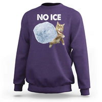 No Ice Sweatshirt Funny Cat Meme Subtle FDT Political Satire