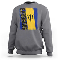 Vintage Barbados Flag Sweatshirt Distressed Patriotic Caribbean Island Barbadian Pride Heritage Gift