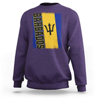 Vintage Barbados Flag Sweatshirt Distressed Patriotic Caribbean Island Barbadian Pride Heritage Gift