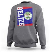 Vintage Belize Sweatshirt Distressed Flag Central American Pride Heritage Gift