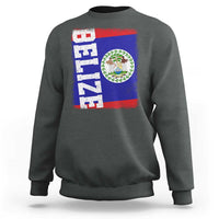 Vintage Belize Sweatshirt Distressed Flag Central American Pride Heritage Gift