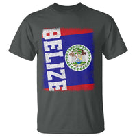 Vintage Belize T Shirt Distressed Flag Central American Pride Heritage Gift