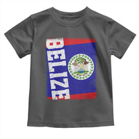 Vintage Belize Toddler T Shirt Distressed Flag Central American Pride Heritage Gift