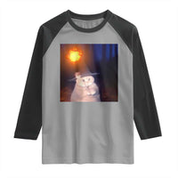 Wizard Cat Raglan Shirt Weird Funny Retro Halloween Orange Cat Meme - Wonder Print Shop