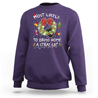 Kitten Christmas Sweatshirt Most Likely To Bring Home A Stray Cat Matching Xmas - Wonder Print Shop