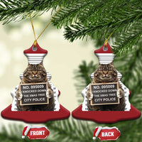 Funny Cat Xmas Christmas Ornament Mugshot I Knocked Down The Xmas Tree - Wonder Print Shop