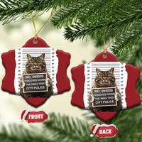 Funny Cat Xmas Christmas Ornament Mugshot I Knocked Down The Xmas Tree - Wonder Print Shop