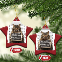 Funny Cat Xmas Christmas Ornament Mugshot I Knocked Down The Xmas Tree - Wonder Print Shop
