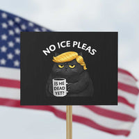 No ICE Protest Protest Sign Is He Dead Yet Black Cat Meme
