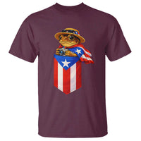 Funny Coqui Frog Puerto Rico Flag T Shirt Puerto Rican Taino Buricua Borinquen