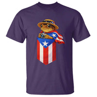 Funny Coqui Frog Puerto Rico Flag T Shirt Puerto Rican Taino Buricua Borinquen