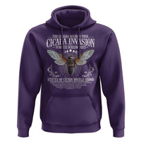 The Cicadas Reunion Tour 2025 Hoodie Cicada Invasion Brood XIV Vintage Concert Fest