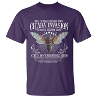 The Cicadas Reunion Tour 2025 T Shirt Cicada Invasion Brood XIV Vintage Concert Fest