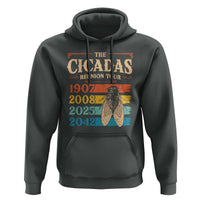 Funny Cicada Brood XIV 2025 Hoodie Periodical Cicada Tour 1907 2008 2042
