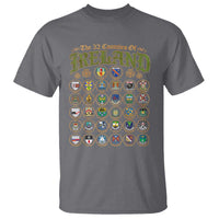 The 32 Counties Of Ireland T Shirt Irish Pride Heritage Vintage Celtic Shamrock