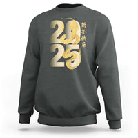 Happy Chinese New Year 2025 Sweatshirt Calligraphy Year Of The Snake Zodiac Animals