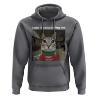 Rage Is Consuming Me Christmas Hoodie Funny Silly Staring Cat Meme Xmas Ugly Sweater - Wonder Print Shop
