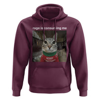 Rage Is Consuming Me Christmas Hoodie Funny Silly Staring Cat Meme Xmas Ugly Sweater - Wonder Print Shop