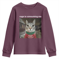 Rage Is Consuming Me Christmas Youth Sweatshirt Funny Silly Staring Cat Meme Xmas Ugly Sweater - Wonder Print Shop