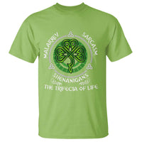 Funny St Patricks Day Irish Pride T Shirt Malarkey Sarcasm Shenanigans The Trifecta Of Life