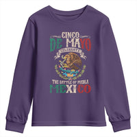 Cinco De Mayo Celebrate The Battle Of Puebla Mexico Youth Sweatshirt Vintage Mexican Flag