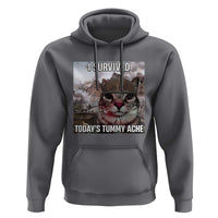 Funny I Survived Todays Tummy Ache Hoodie War Cat Meme - Wonder Print Shop