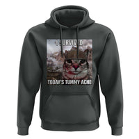 Funny I Survived Todays Tummy Ache Hoodie War Cat Meme - Wonder Print Shop