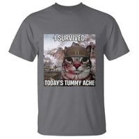 Funny I Survived Todays Tummy Ache T Shirt War Cat Meme - Wonder Print Shop