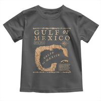 Gulf Of Mexico ESTD 1672 Toddler T Shirt Vintage Map