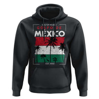 Golfo De Mexico EST 1550 Hoodie Vintage Mexican Flag Palm Tree
