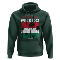 Golfo De Mexico EST 1550 Hoodie Vintage Mexican Flag Palm Tree