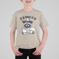Funny Raccoon T Shirt For Kid It Is What It Is And It Is Not Great Text Display Board - Wonder Print Shop
