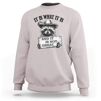 Funny Raccoon Sweatshirt It Is What It Is And It Is Not Great Text Display Board - Wonder Print Shop