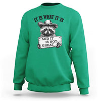 Funny Raccoon Sweatshirt It Is What It Is And It Is Not Great Text Display Board - Wonder Print Shop