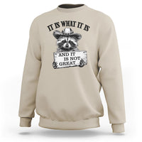 Funny Raccoon Sweatshirt It Is What It Is And It Is Not Great Text Display Board - Wonder Print Shop