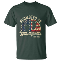 Funny Promoted To Grandfather 2025 T Shirt Newborn Vintage American Flag