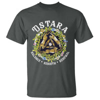 Ostara Balance Rebirth Renewal T Shirt Ostara Pagan Eostre Easter Day Three Hares