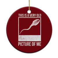 Funny This Is A Very Old Picture Of Me Ceramic Ornament Adult Humor Gag Gift - Wonder Print Shop